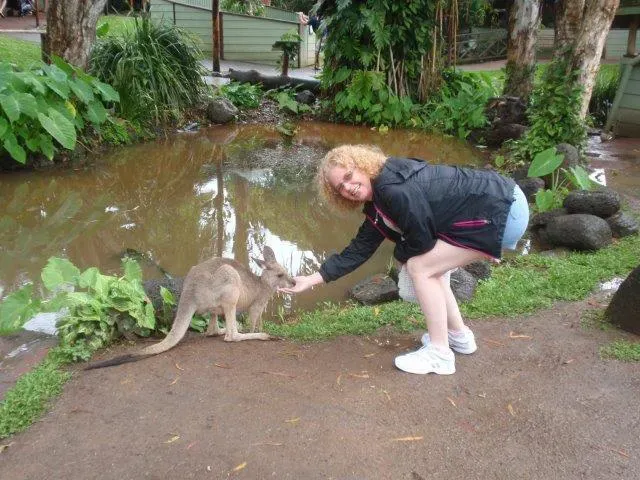 cairns kangaroo